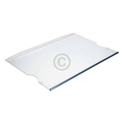 Glasplatte LIEBHERR 7272432 480x303mm mit Leisten für Kühlschrank