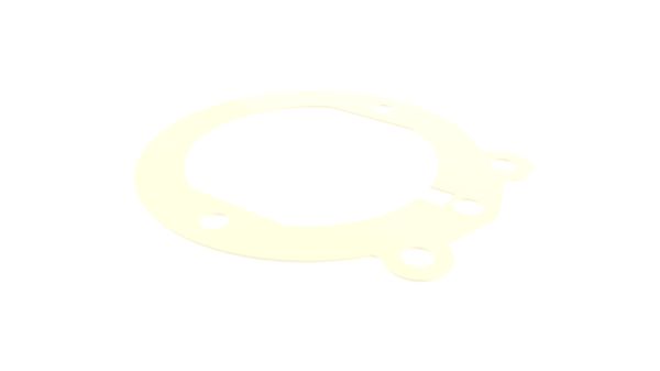 Dichtung 10001815