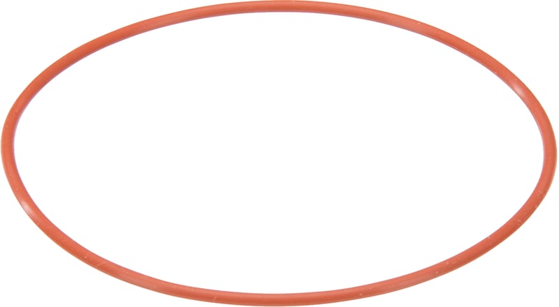 Dichtung-Begrenzer 00189317