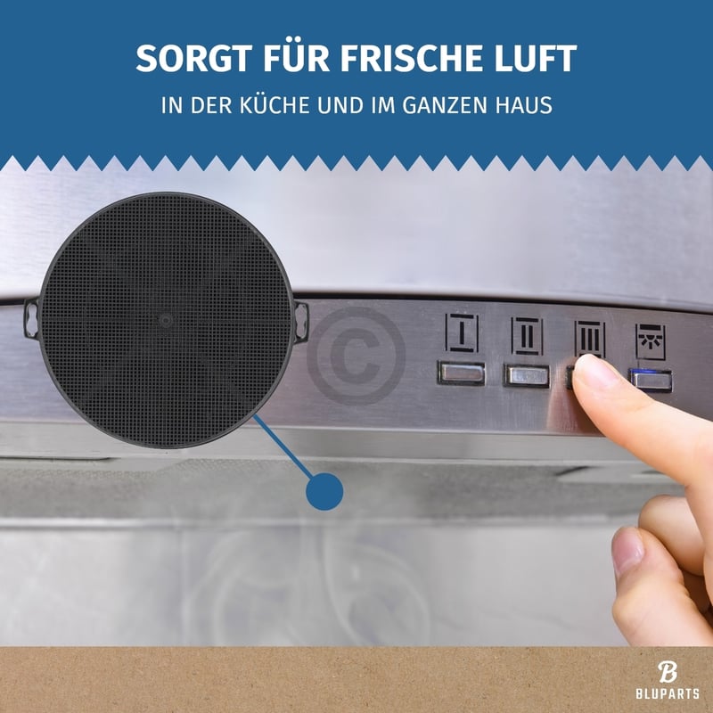 Kohlefilter 210mmØ Type210 passend für Bosch 00353121 BLUPARTS in