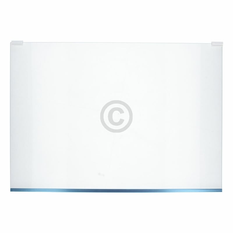 Glasplatte mitte für Kühlteil BOSCH 11046669 in KühlGefrierKombination