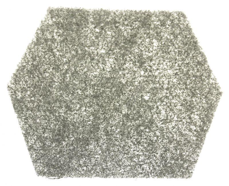 CHARCOAL FILTER HEXAGONAL 1PC 9029799757 Electrolux