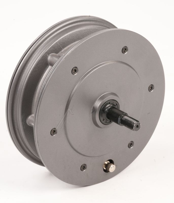 Motor EGRET 10150054 für E-Scooter EY2