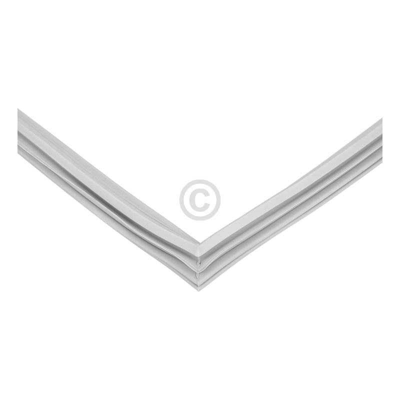 ASSY GASKET SLOT IN BI20 D54223B FF 4663521300