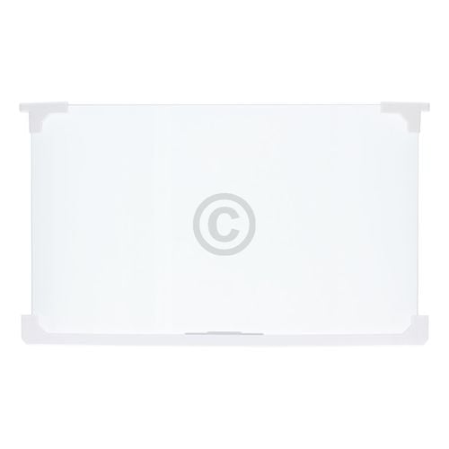 Glasplatte IGNIS 482000097600 460x280 mit Leiste für Kühlschrankinnenraum