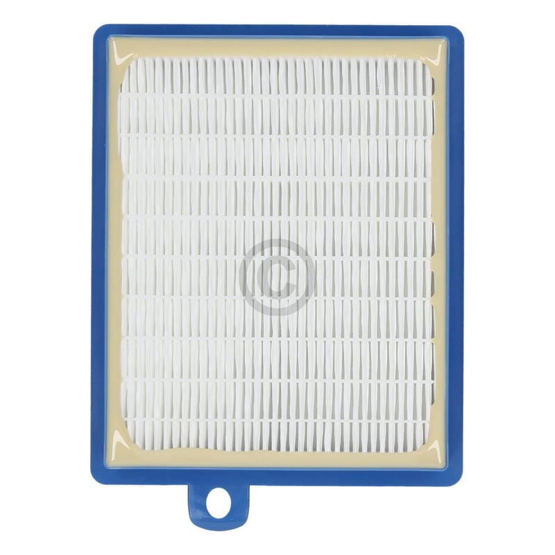 Filter Abluftfilter Kassette Electrolux 900167768/2 EFS1W Original Electrolux 1131247023