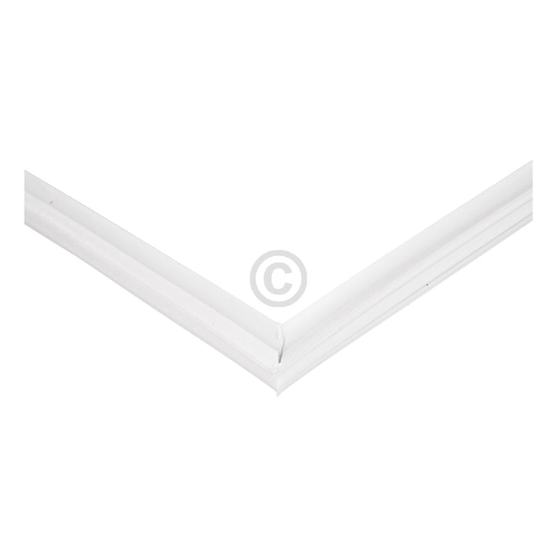 Magnetdichtung 481246818289