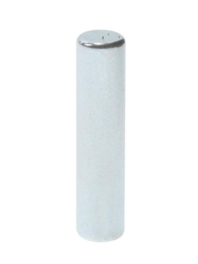 Dauermagnet für Kühlschrank BSH-Gruppe 00418273 Kühlsystem
