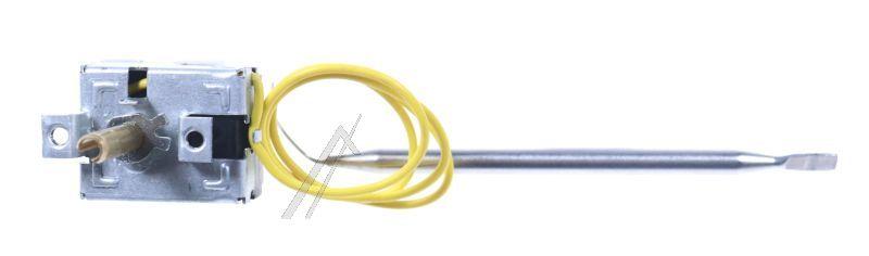 Thermostat (50294877001)