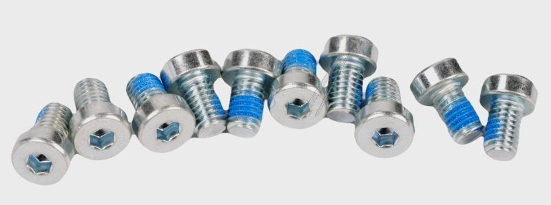 Zylinderschraube mit Innensechskant M5x8 Segway-Ninebot AB.50.0011.63 für E-Scooter F20D F30D F40D