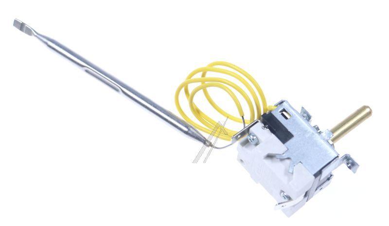 Thermostat (50294877001)