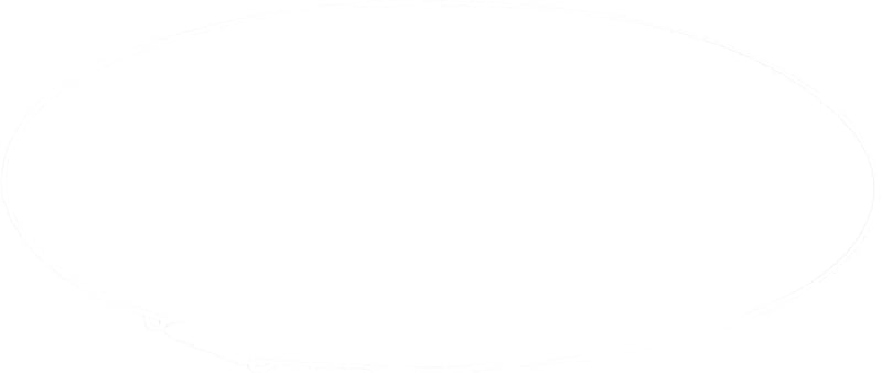 Spannverschluss 00440242