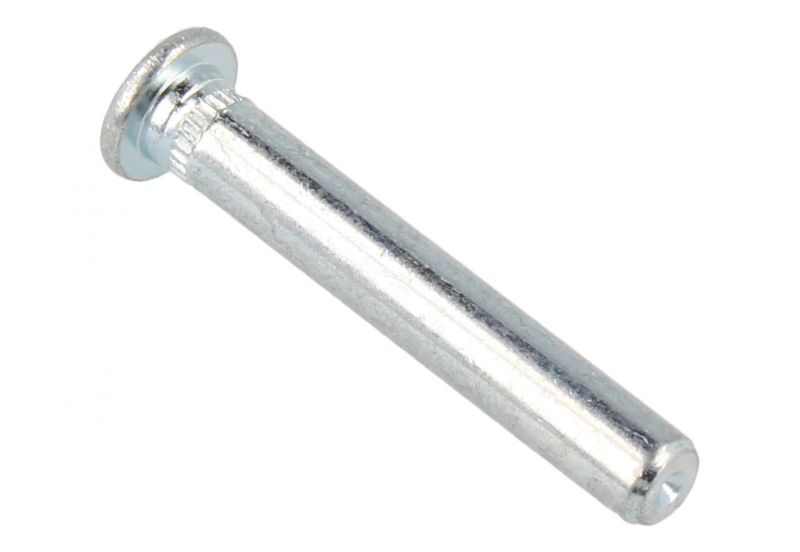 Scharnier-Stift für Kühlschrank Whirlpool 481241778065 Tür