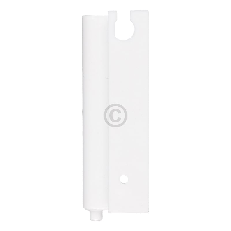 Türscharnier unten für Gefrierfach Amica 1023123 in Kühlschrank