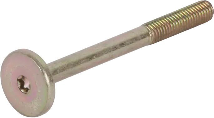 Ofen-Schraube BSH-Gruppe 00626873 Befestigung