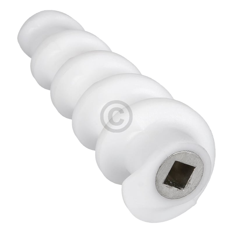 Schneckenrad Bosch 10009549 für Fruchtpressenvorsatz