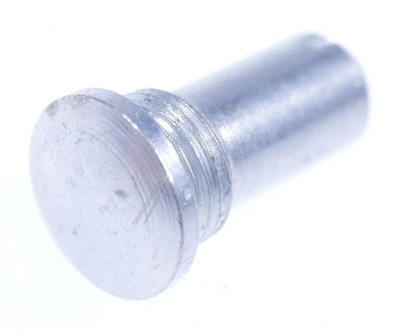 Scharnierstift für Dometic Kühlschrank 290593700 Türscharnier