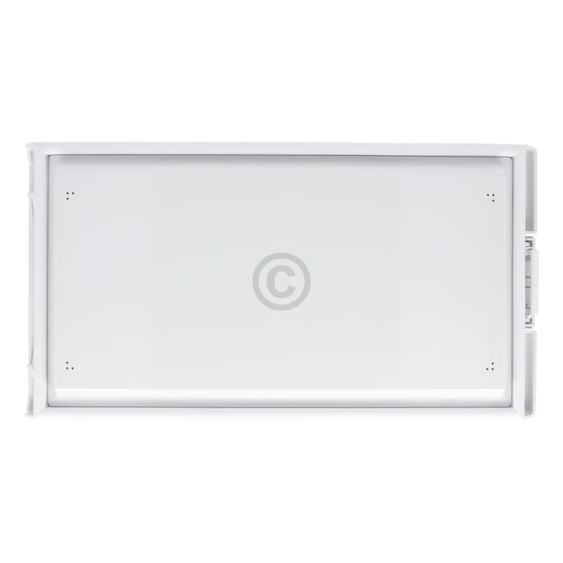 Gefrierfachtür (4006032843)