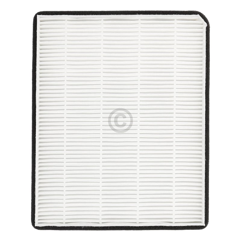 AIR NET FILTER Hisense HK2093173 Hisense