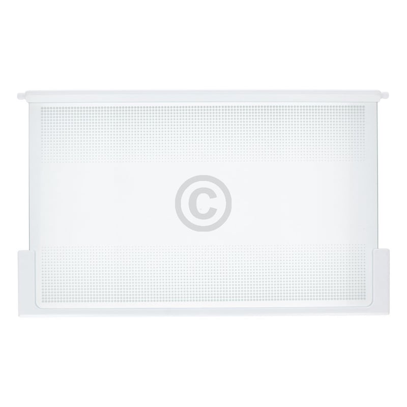 Glasplatte oben LIEBHERR 9293003 495x300mm mit Leisten für Kühlschrank KühlGefrierKombination