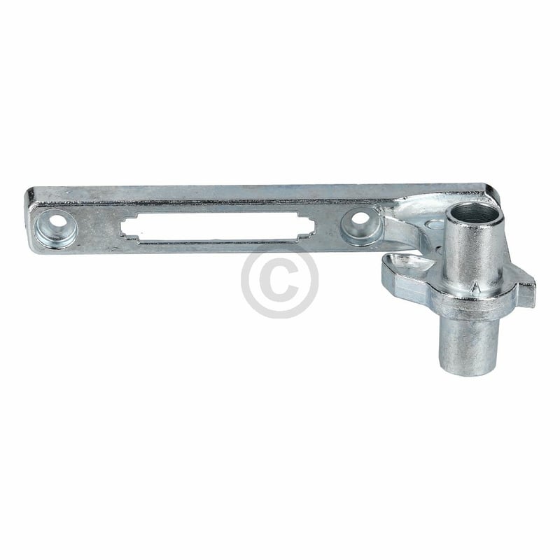 Türscharnier für Bosch-Gerät 12029779 Tür