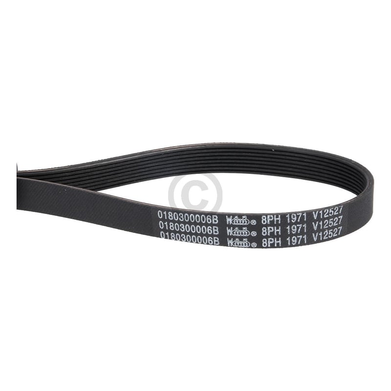 Keilrippenriemen 1971PH8 Haier 49053052 0180300006B für Trockner
