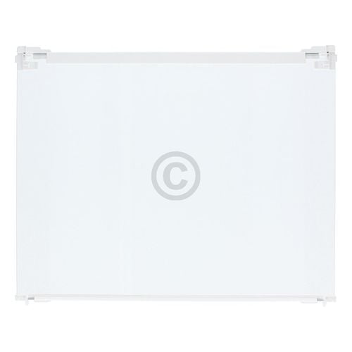 Glasplatte LIEBHERR 7272636 495x400mm mit Leisten für Auszugsschiene Gefrierschrank
