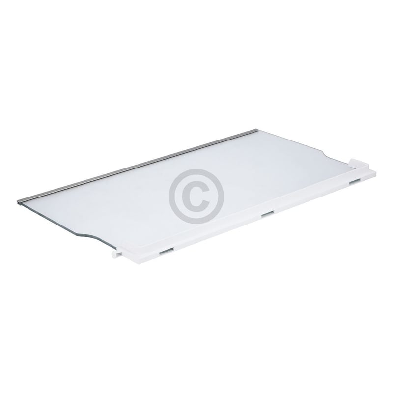 Glasplatte SIEMENS 00662023 455x296mm mit Leisten für Kühlschrank KühlGefrierKombination