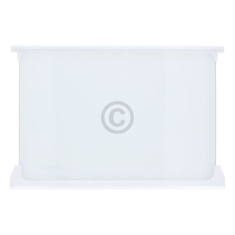Glasplatte oben für Kühlteil beko 4617920500 450x300mm mit Leisten in KühlGefrierKombination Kühlschrank