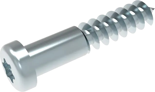 Schraube für Sonstiges Bosch 10003574 Befestigungselement