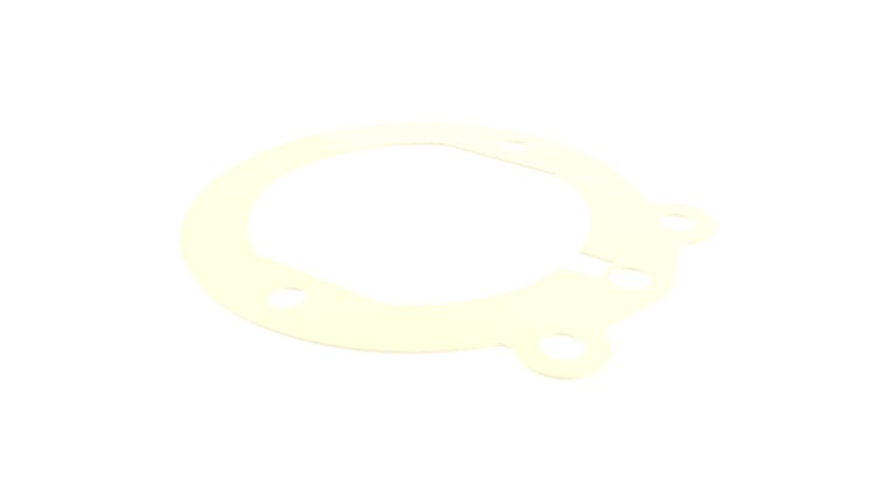 Dichtung 10001815