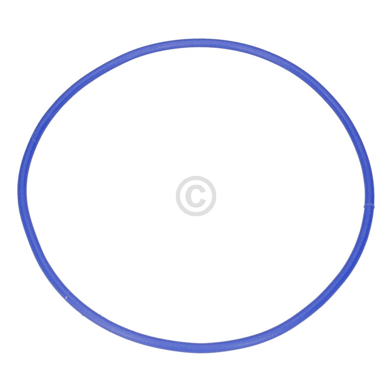 Geschirrspülerdichtung (4006078093)