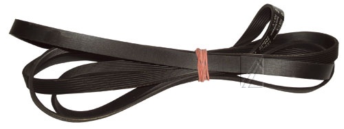 Poly-V-Riemen für Trockner Hutchinson 1938H7 Riemen, Rippenband
