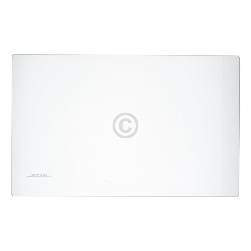 Glasplatte oben für Kühlteil Amica 1040723 462x288mm in Kühl-Gefrierkombination