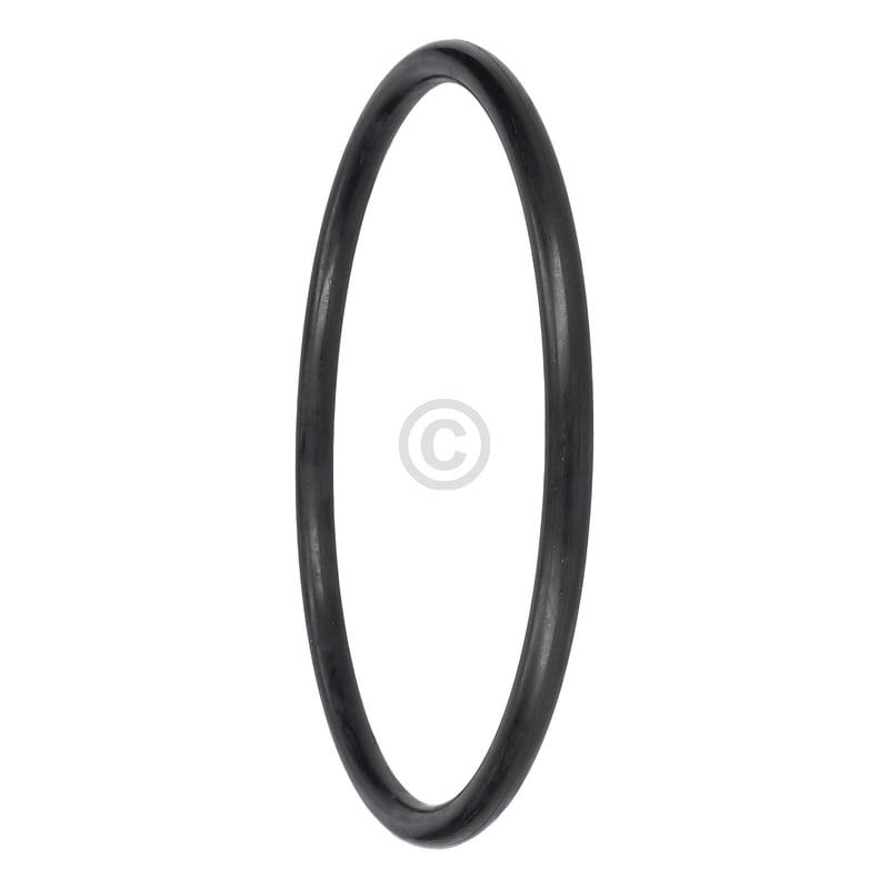 Dichtung Sieb / Pumpentopf 172mmØ passend für AEG 899646121770/6