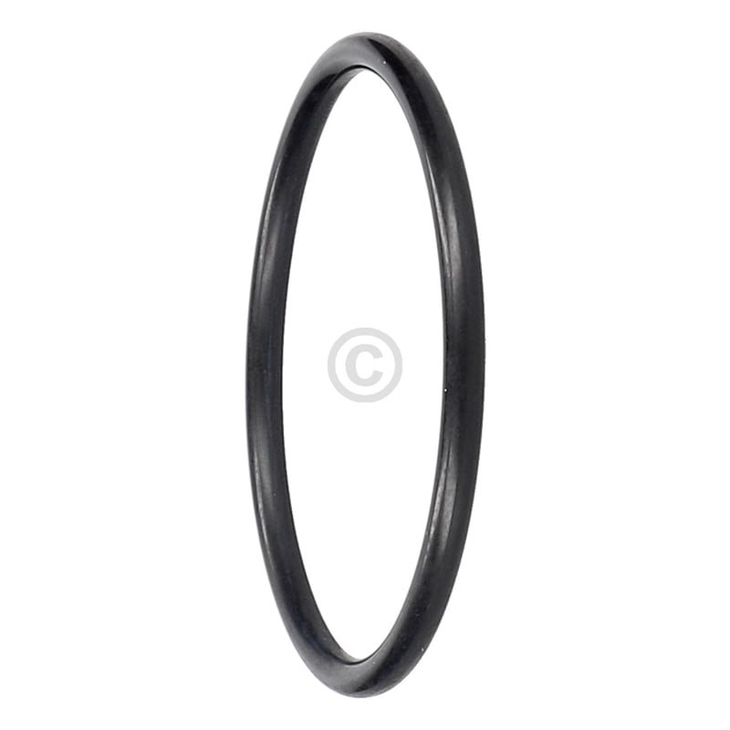 Türdichtung Haier Candy/ Hoover 70026703 für Geschirrspüler CANDY/ HOOVER