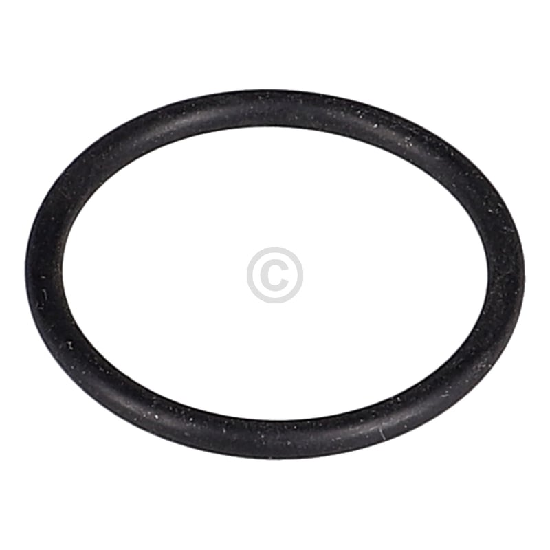 Lampendichtung für Wäschetrockner (1051180006)