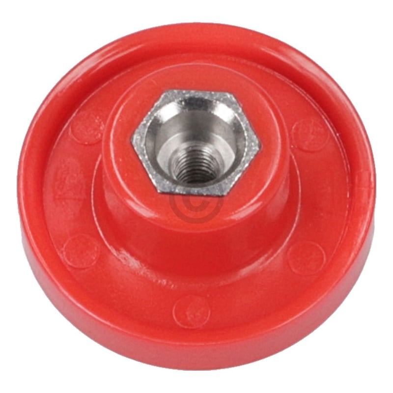 Kupplung Motorkupplung 10020173