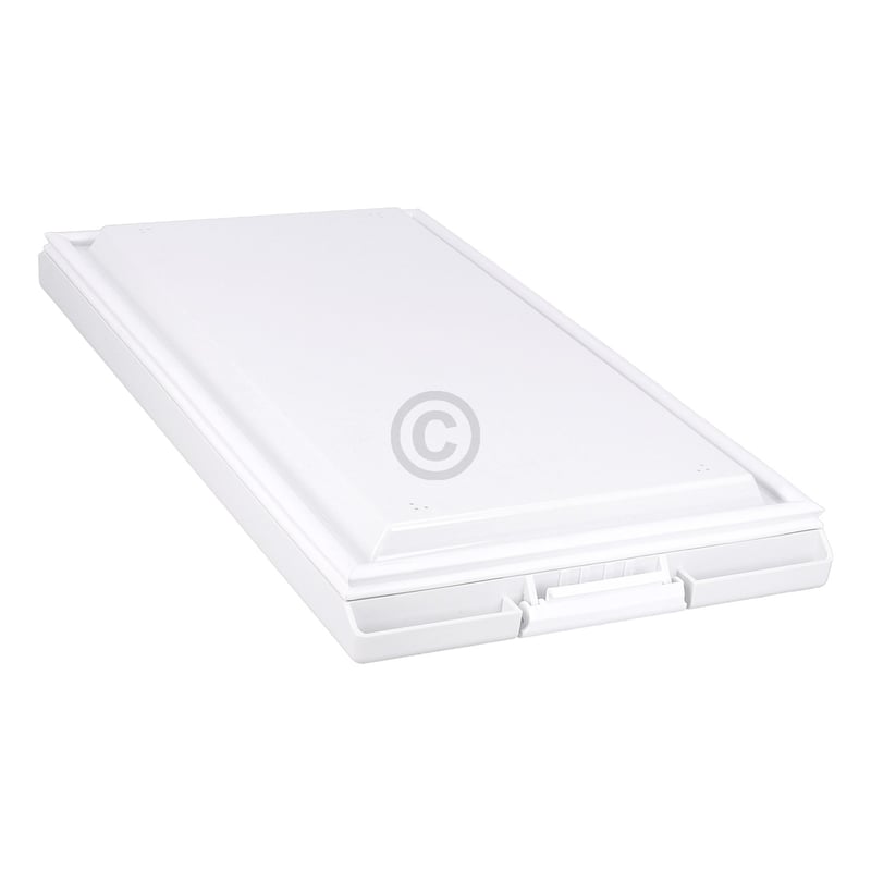 Gefrierfachtür (4006032843)