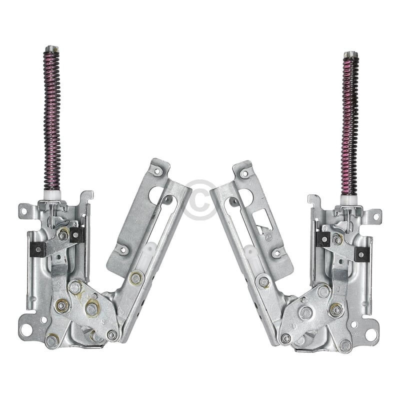 TÜRSCHARNIER, SATZ LINKS UND RECHTS, Electrolux 4055990024 für Geschirrspüler