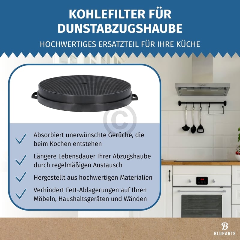Kohlefilter 210mmØ Type210 passend für Bosch 00353121 BLUPARTS in