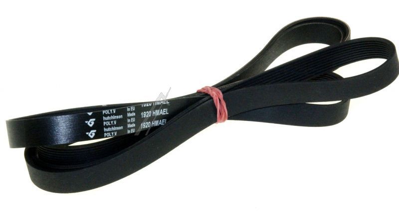Poly-V-Riemen Trockner Hutchinson 1920H9 Antriebsriemen