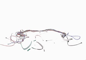 kabelbaum-12009631.631893