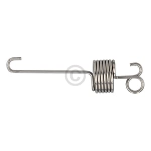 feder-fuer-flusensiebgehaeuse-gorenje-115105-in-trockner.416433