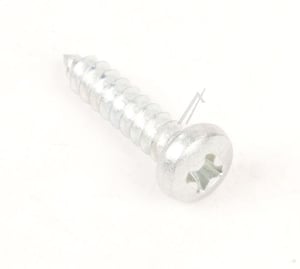 Selbstschneidende Schraube ST2.9x13 Kreuzschlitz Linsenkopf Segway-Ninebot 01.12.0051.00 für E-Scooter Max G30E G30D G30I