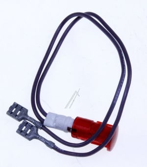 linse-00152276.469305