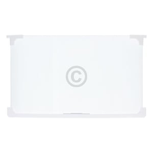 Glasplatte IGNIS 482000097600 460x280 mit Leiste für Kühlschrankinnenraum