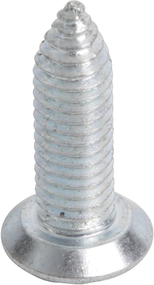 Befestigungsschraube für Sonstiges Bosch 10004503 Metall, 10mm