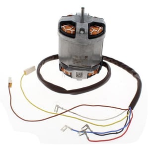 motor-482000023781.675910