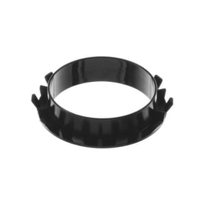 ring-10009921.438720